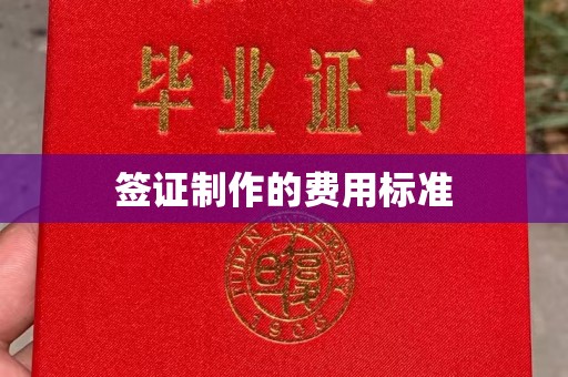 中坜签证制作的费用标准