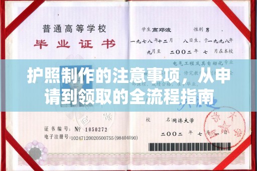 东港护照制作的注意事项，从申请到领取的全流程指南